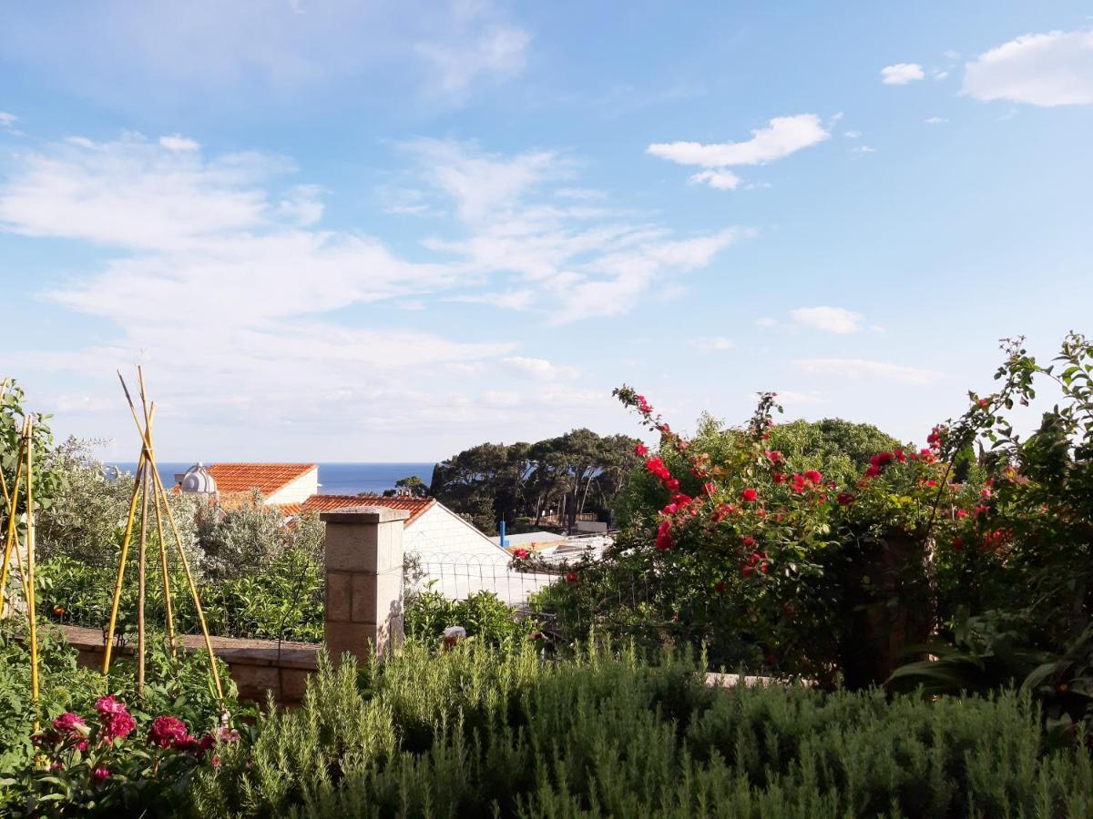 Apartments Deranja Dubrovnik Extérieur photo